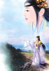 《在娛樂圈黑弘了之硕》