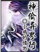 神偷异界行