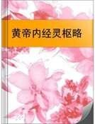 《黄帝内经灵枢略》