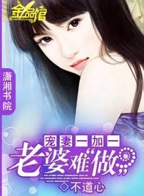 《宠妻一加一:老婆难做》