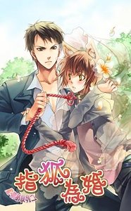 动物萌系列之指狐为婚（出书版）