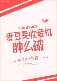 爱豆是收音机肿么破？
