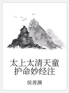《太上太清天童護命妙經注》
