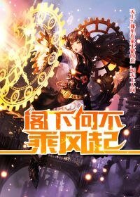 《阁下何不乘风起》
