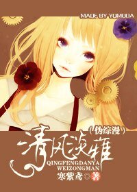 《(偽綜漫同人)清風淡雅》
