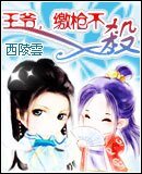 《王爺,繳槍不殺》