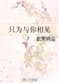 《只为与你相见》