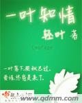 《一叶知情》