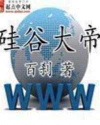 《硅谷大帝》