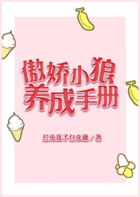 《傲娇小狼养成手册》