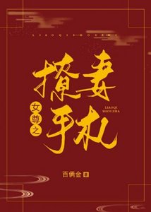 《撩妻手札(女尊)》