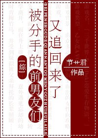 《(综同人)被分手的前男友们又追回来了》