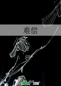 难偿