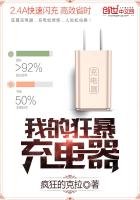 《我的狂暴充电器》