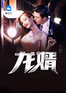 《龙婿(方正宁子渝)》
