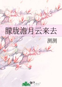 《朦胧澹月云来去》
