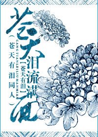 《苍天有泪之苍天泪流满面》
