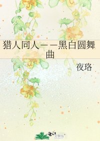 《猎人同人--黑白圆舞曲》