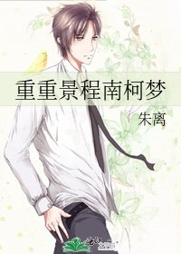 《重重景程南柯梦》