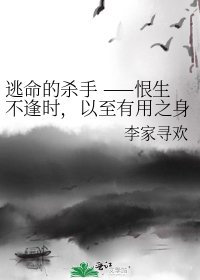 《逃命的杀手 ——恨生不逢时,以至有用之身空置于世,化为一片尘土,谁能瞑目。》