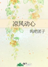 《凉风动心》