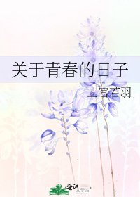 关于青春的日子