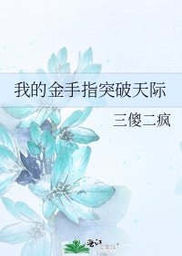 《我的金手指突破天际》
