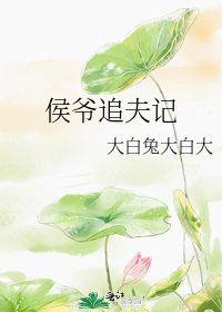 《侯爷追夫记》