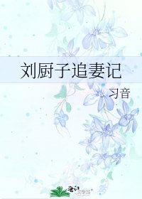 《刘厨子追妻记》