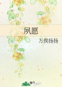 《夙愿》