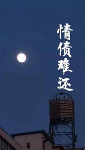 《情债难还》