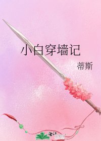 小白穿墙记