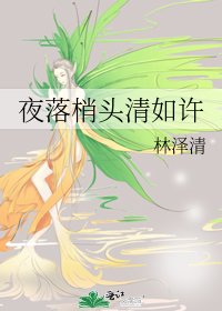 《夜落梢头清如许》