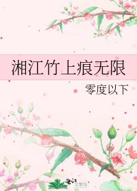 《湘江竹上痕無限》