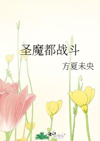 《圣魔都战斗》