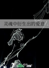 灵魂中衍生出的爱意