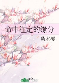 《命中注定的缘分》