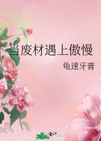 《当废材遇上傲慢》