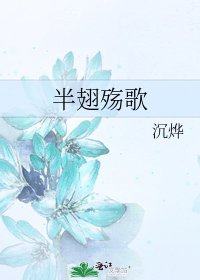 《半翅殇歌》