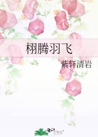 《栩腾羽飞》