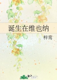 《诞生在维也纳》