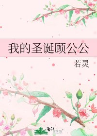 我的圣诞顾公公