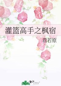 《灌篮高手之枫宿》