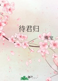 待君歸