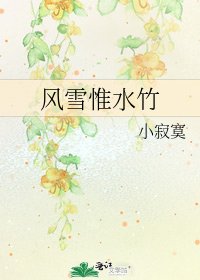 《风雪惟水竹》