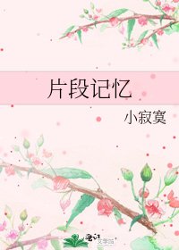 《片段记忆》