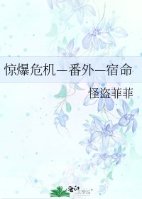 《惊爆危机—番外—宿命》
