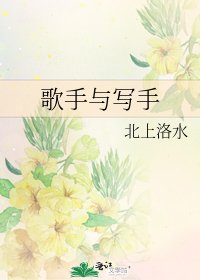 《歌手与写手》