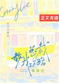 《總裁教我攻略他自己》
