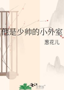 《他是少帥的小外室》